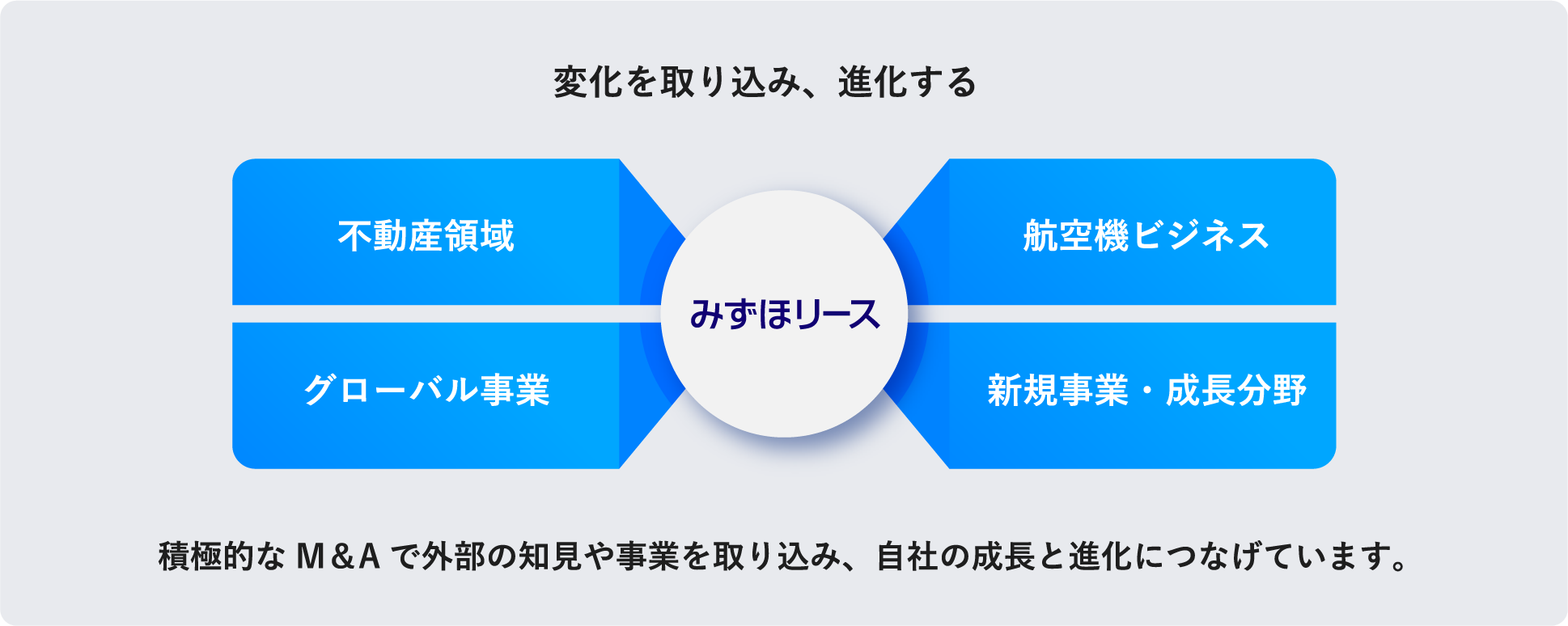 インオーガニック戦略の図表